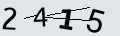 verifycode